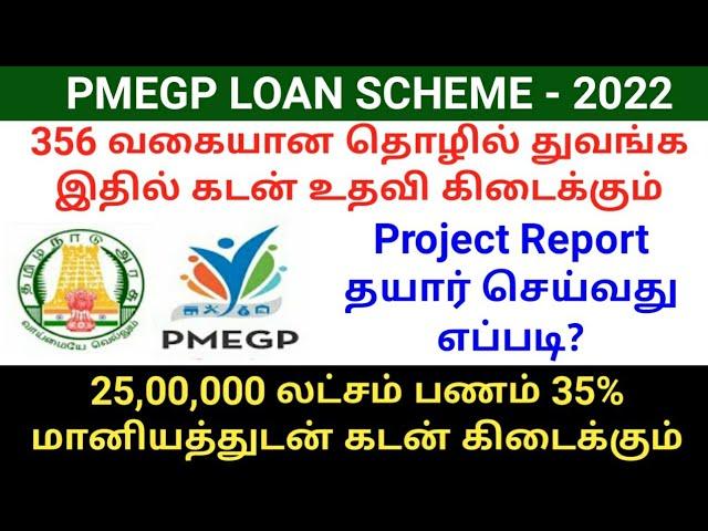 PMEGP Loan Scheme Eligible Business 2022 | PMEGP loan project report | PMEGP loan apply online