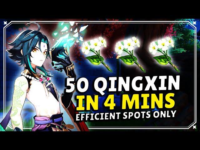 50 QINGXIN FLOWERS IN 4 MINUTES - [SUPER FAST GUIDE]