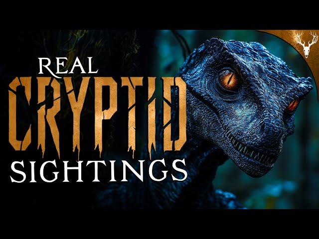 9 NEW Cryptid Sightings!