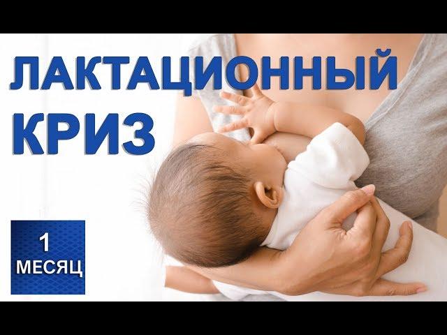 Лактационный криз - нехватка молока новорожденному 1 месяц жизни
