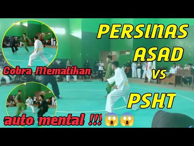 Tendangan Mematikan Pencak Silat !!!  - PERSINAS ASAD vs PSHT