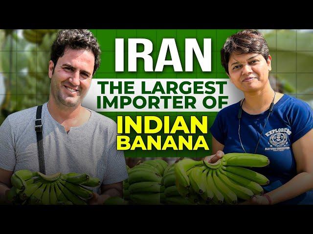 Where to Export Banana?I| KDSushma