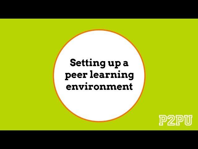 Setting up a peer learning environment