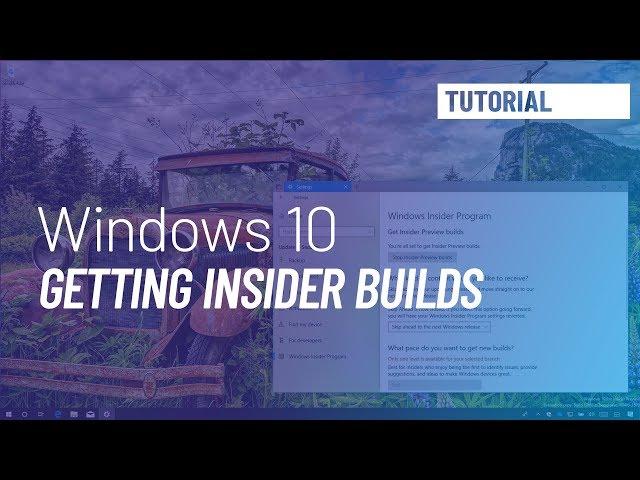 Windows 10 tutorial: Insider Preview build download