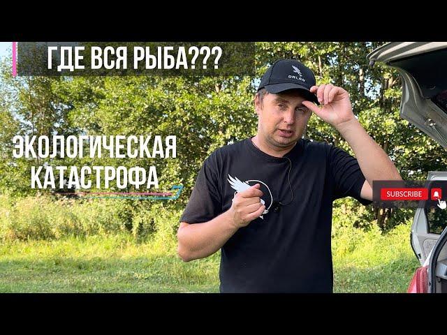 КТО или ЧТО уничтожает рыбу | отпускать или не отпускать, вот в чем вопрос