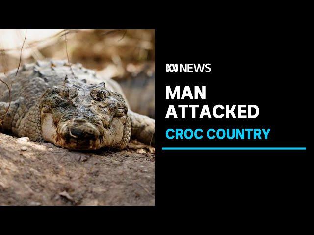 Croc attack prompts authorities to close popular waterfall | ABC News