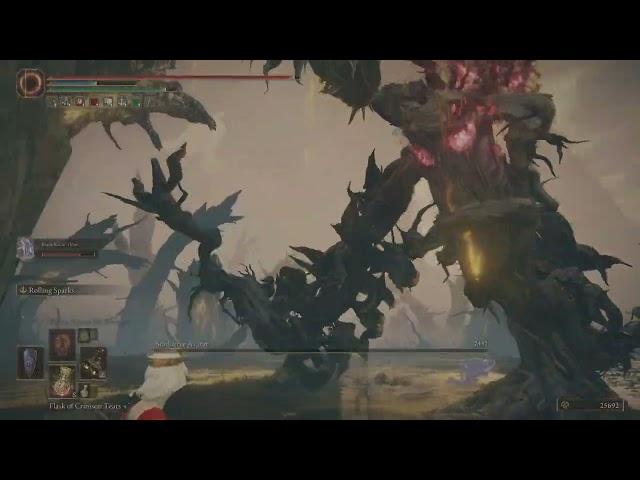 Elden Ring Scadutree Avatar Boss Fight