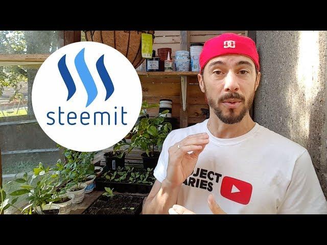  How to: Make Money Blogging (The Ultimate Guide to Steemit)