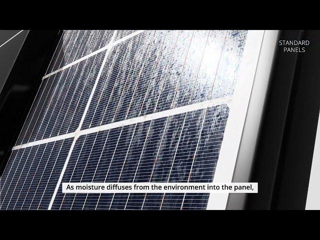 Maxeon panels are built to power through heat and humidity