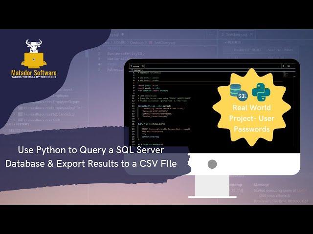 Use Python to Query a SQL Server Database & Export Results to a CSV File- A Real World Project