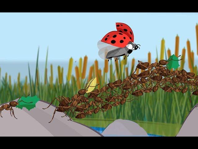 "Life of Ants" Animated Movie Trailer