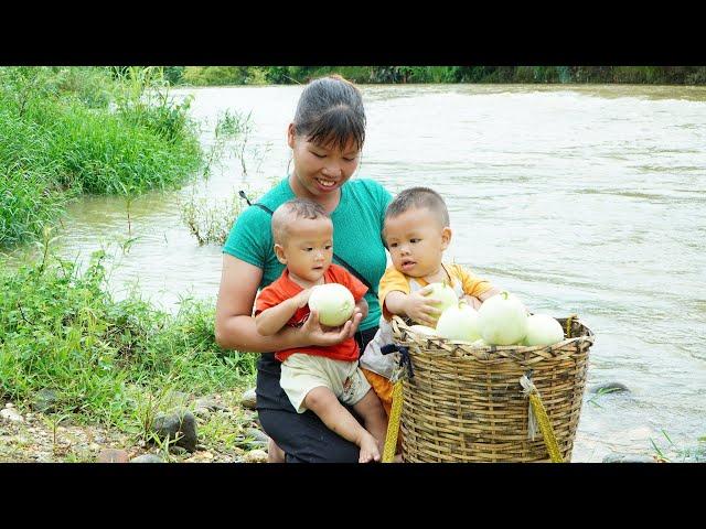 Single Mom: Harvest Melons Goes To The Market Sell, How to make yogurt and Kitchen - Lý Thị Ngoan