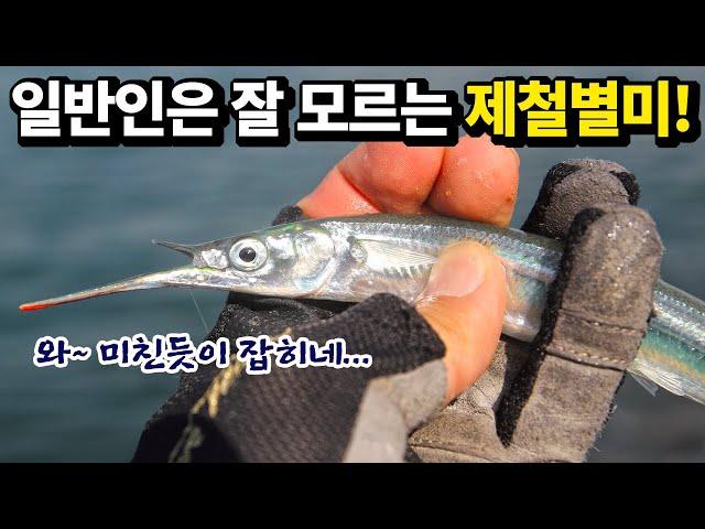 Fishing trip to islands in Korea. How to catch halfbeak and cook it!