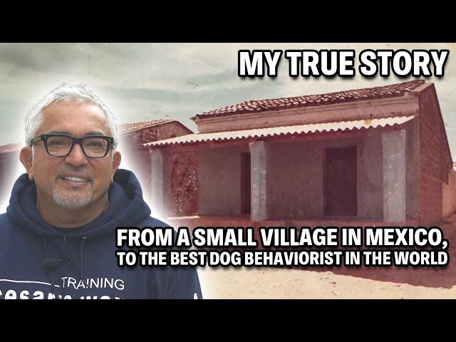 How I Became The Best Dog Trainer In The World | My True Story