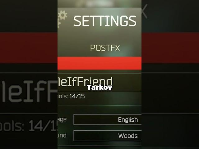 BEST POST FX FOR VISIBILITY #escapefromtarkov