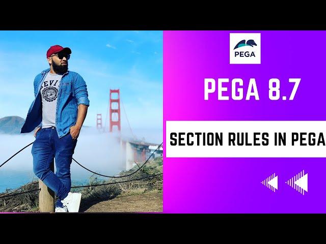 Pega 8.7 | Understanding Section Rule in Pega | Day 8