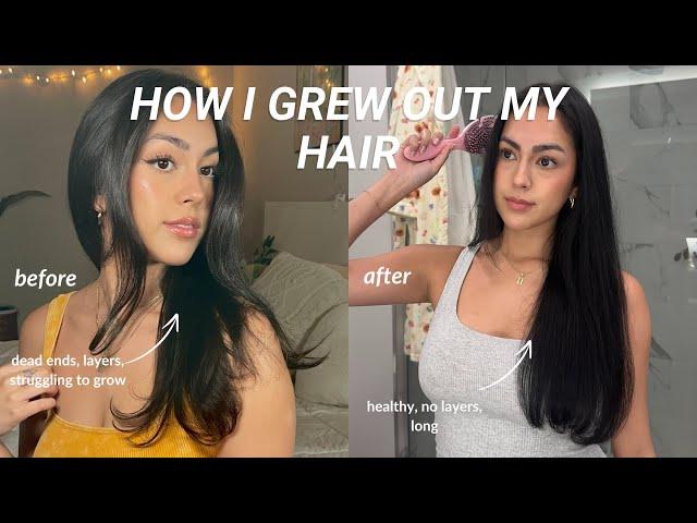 5 reasons why your hair is NOT growing! (hair training, slick back buns, & more??)