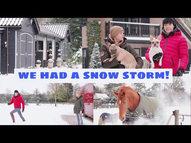 STABLE TOUR AFTER SNOW STORM + HORSES PLAY IN THE SNOW FOR THE FIRST TIME