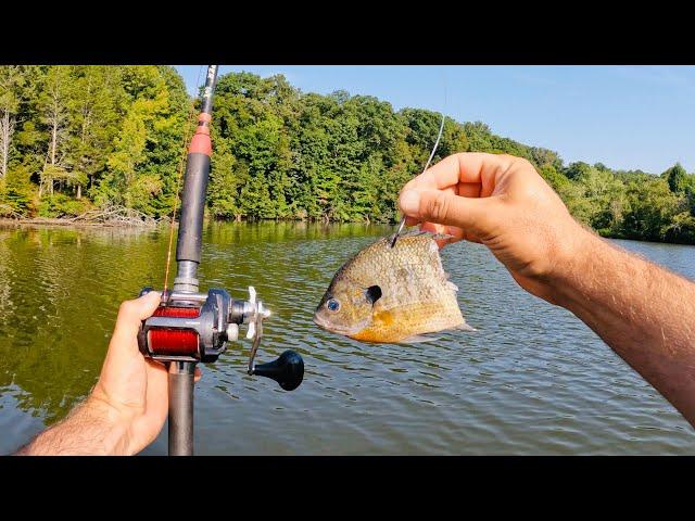 4 Hours of RAW and UNCUT Kayak Catfishing on the Tennessee River | Suspending Live and Cut Bait