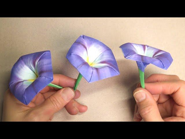 CREATE Your Own Stunning Morning Glory Flowers with Origami!