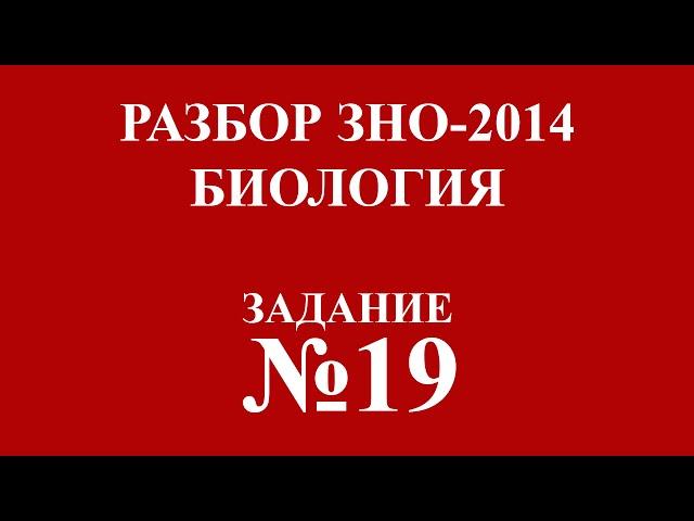 Решение тестов ЗНО по биологии 2014 задание 19