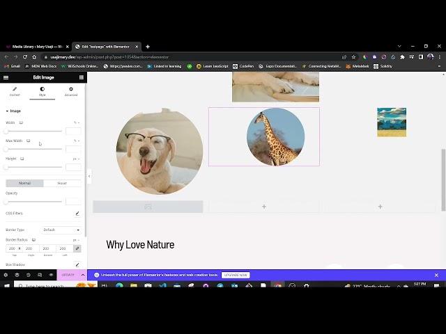 How to create Circular/Rounded Shaped Images using Elementor on WordPress