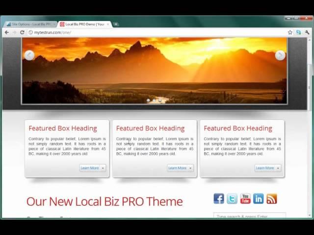 Local Biz PRO - Theme Options & Site Options