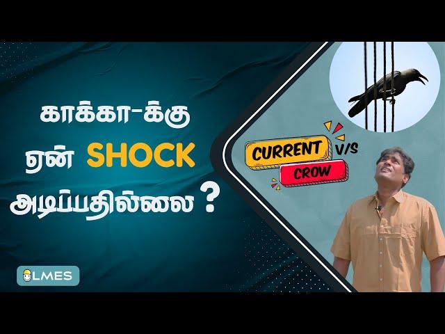 Why don't electric wires shock birds? | Tamil | Electrical Resistance | LMES