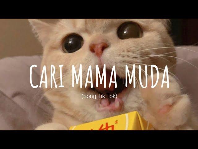 Cari Mama Muda - DJ VIRAL TERBARU (remix) // (Vietsub + Lyric) Song Tik Tok