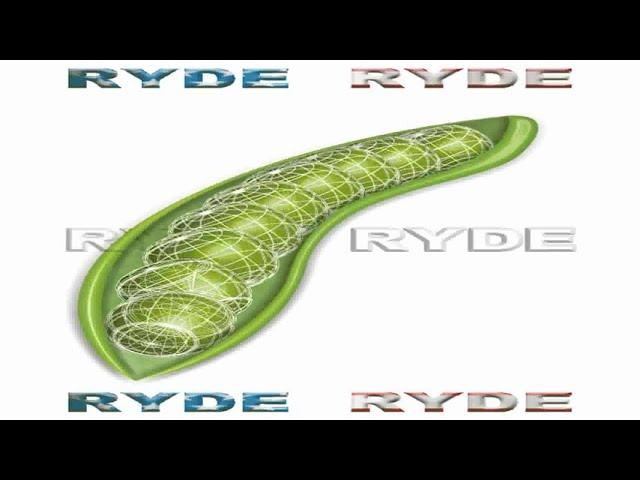 RYDE IMAGING VIDEO MICROENCODING CIRCUIT