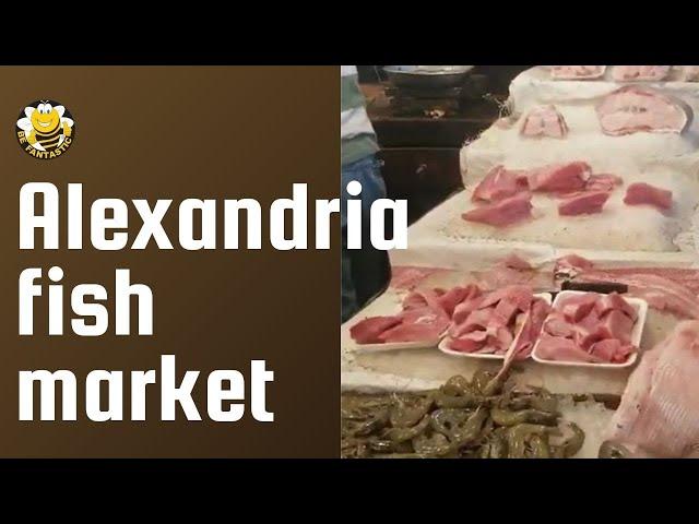 Alexandria fish market