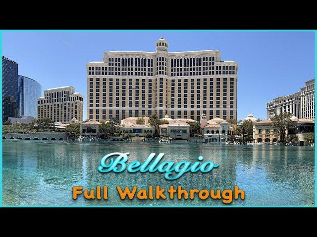 Bellagio Las Vegas - Full Walkthrough with pool and 2 Queen Fountain View Room Tour