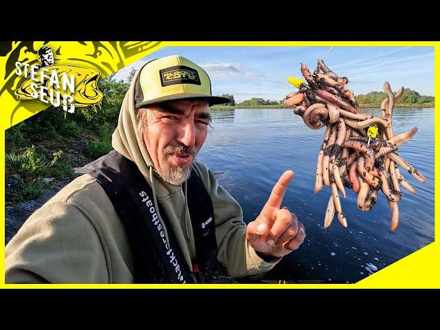 Mit WURM 🪱 und WHALY am Fluss in Deutschland | Werde ich Fangen