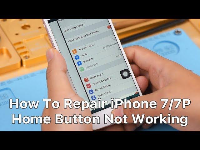 How To Repair iPhone 7/7P Home Button Not Working | Repair Shop Tips