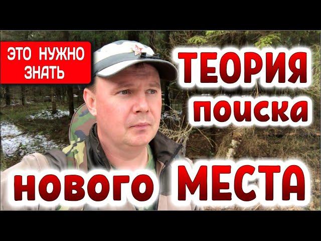 Как выбрать место для копа / Лесные Копатели