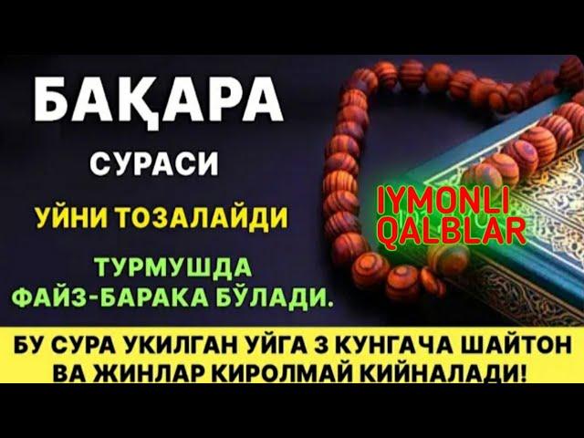 БАКАРА СУРАСИ . #сураальбакара