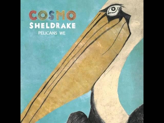 Cosmo Sheldrake - Pelicans We