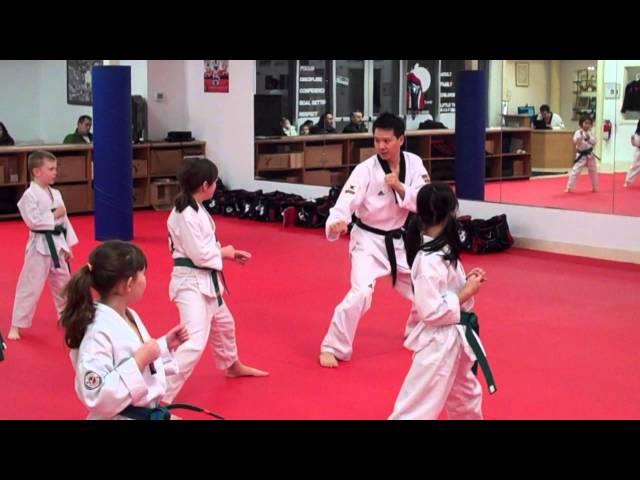 Master Moon's Tae Kwon Do - Kids Class