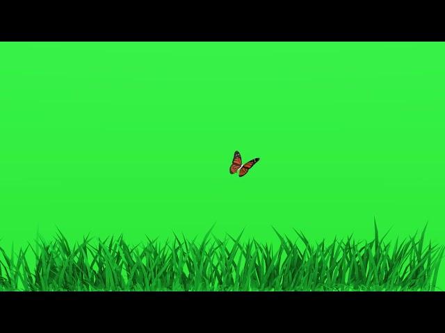 Green Screen Grass Effect Video