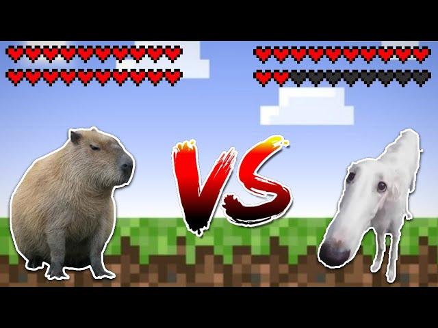 Capybara vs Borzoi dog(let me do it for you)! Meme battle