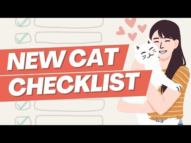 6 New Cat Parent Essentials (Beginner's Guide)