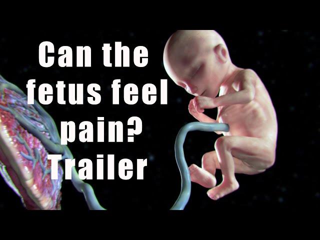 Can the fetus pain? trailer