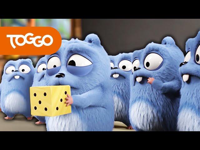 Grizzy und die Lemminge | Falsches Spiel | BEST OF TOGGO #109 | TOGGO Serien