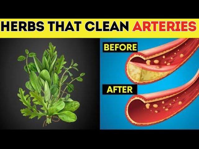 Magical Herbs To Clean Your Arteries | Herbs To Clean Blood Vessels | Herbs For Arteries