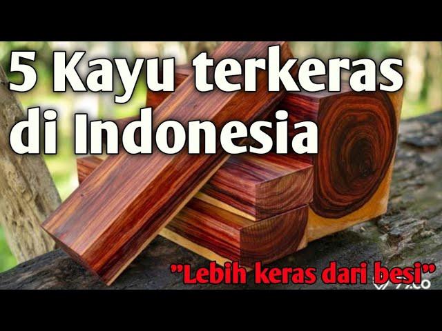 5 Kayu terkeras di Indonesia