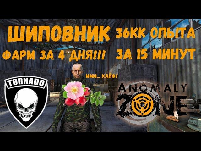 Anomaly Zone - Шиповник (прокачка за 15 минут)