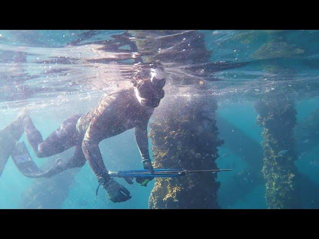 Spearfishing BIG Fish CATCH and COOK (Cobia and Snapper) || Gulf of Mexico 2019