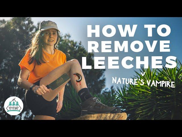 HOW TO REMOVE A LEECH THE RIGHT WAY - Hiking Tips