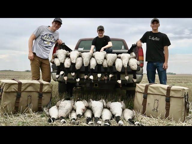 EPIC 3 man NODAK GOOSE HUNT!!