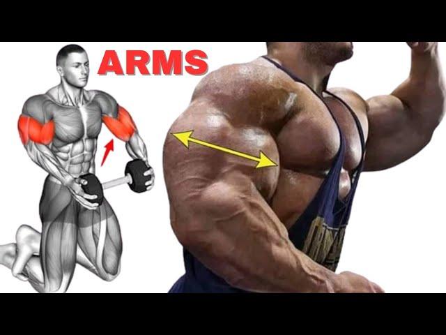 TOP 8 EXERCISES To Get Bigger Arms In 30 DAYS ! ( Home Workout )